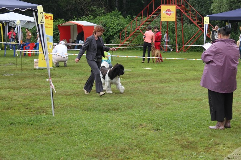 Фотография № 131315