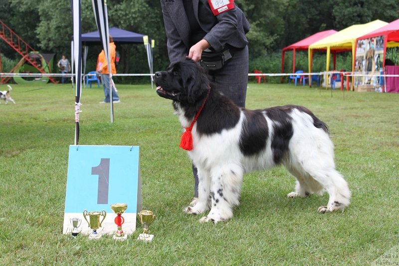 Фотография № 131316