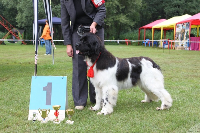 Фотография № 131318