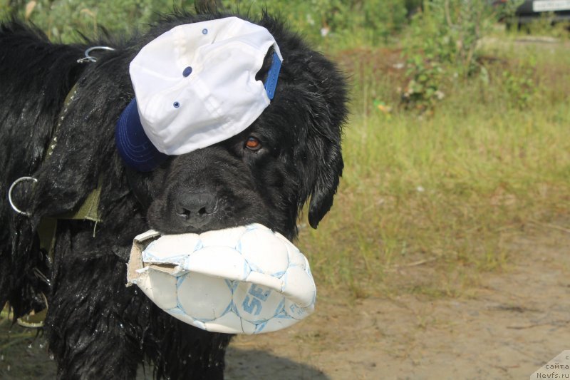 Фотография № 131319