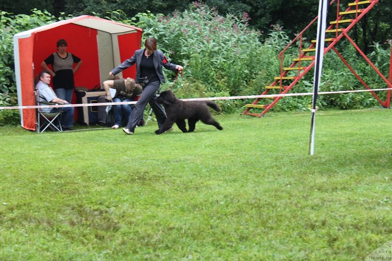 Фотография № 131320