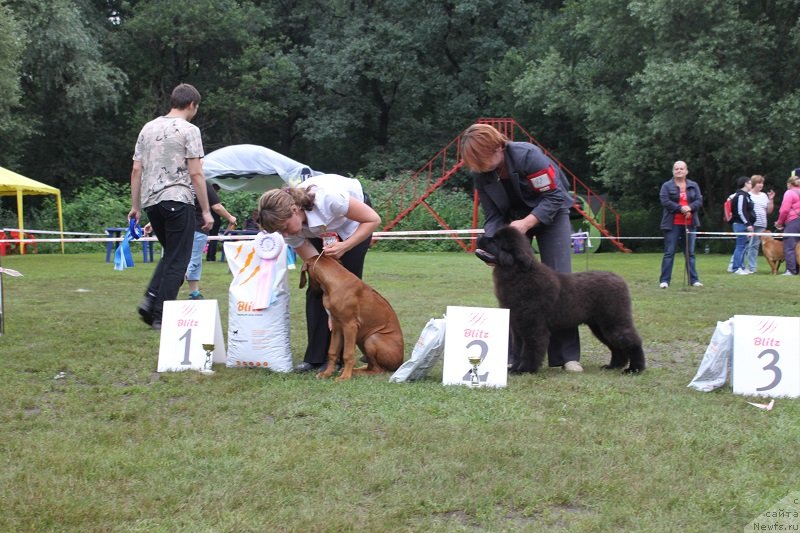 Фотография № 131321