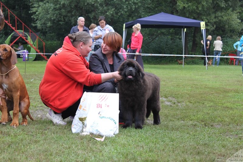 Фотография № 131322