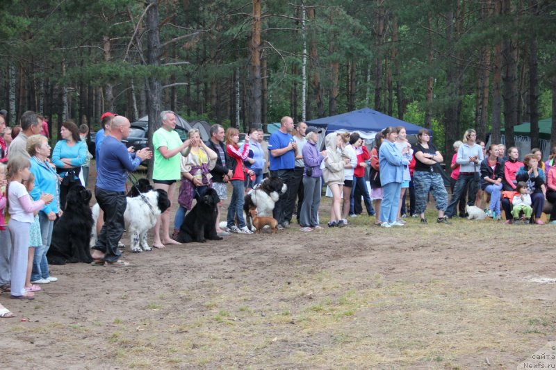 Фотография № 131334