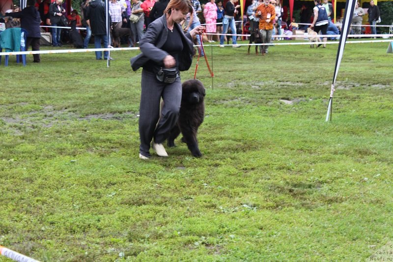 Фотография № 131337