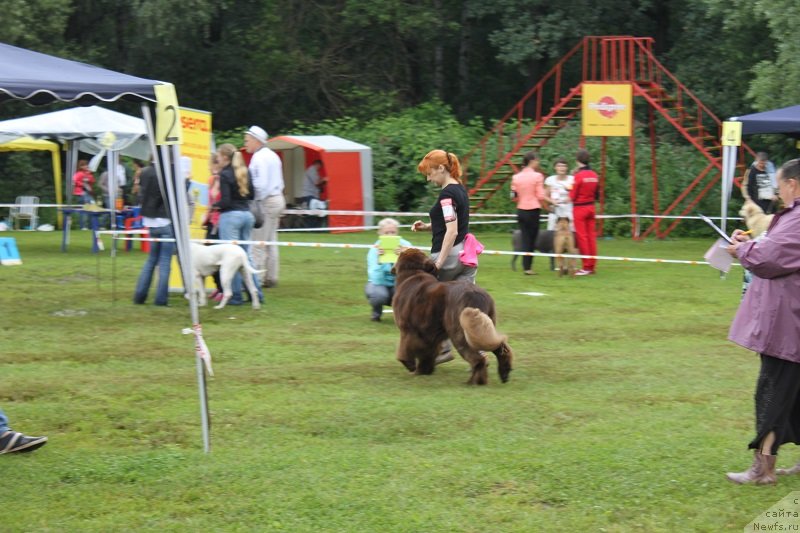 Фотография № 131339