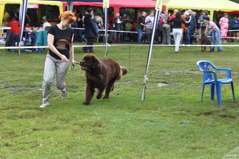 Фотография № 131340