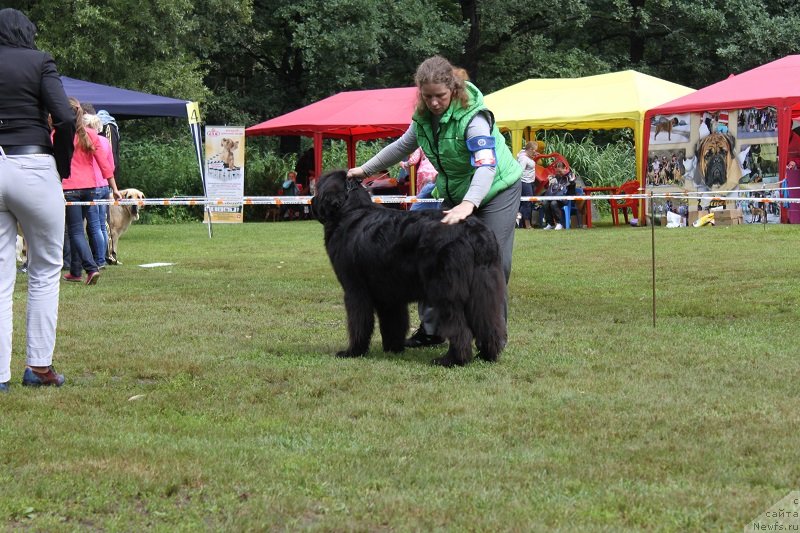 Фотография № 131349