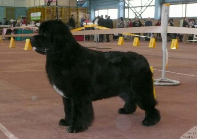 Фотография № 13136