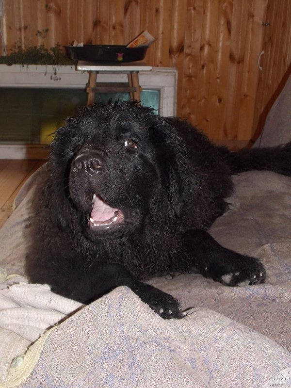 Фотография № 131407