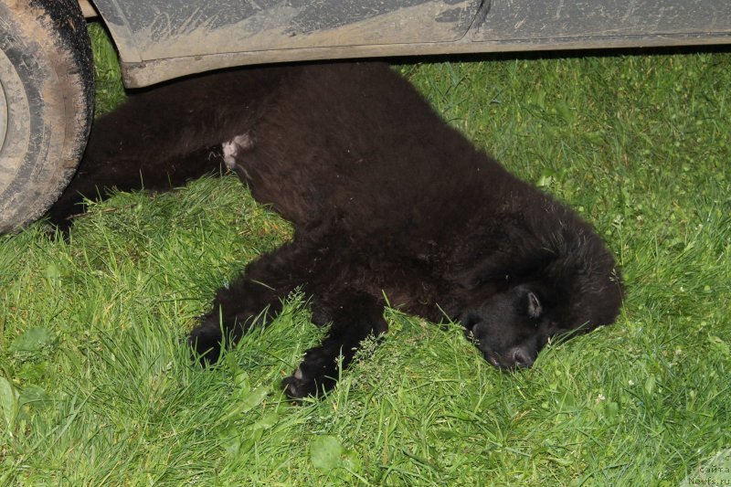 Фотография № 131410