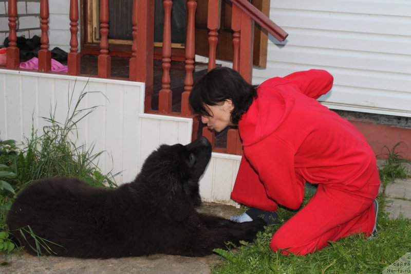 Фотография № 131413