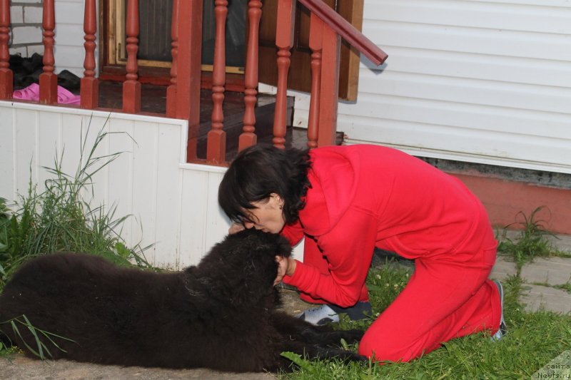 Фотография № 131414