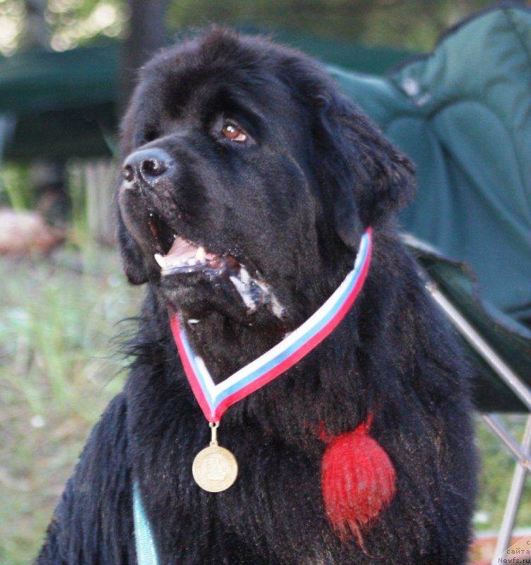 Фотография № 131423