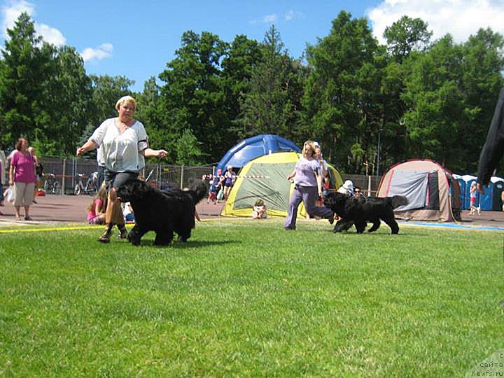 Фотография № 131465