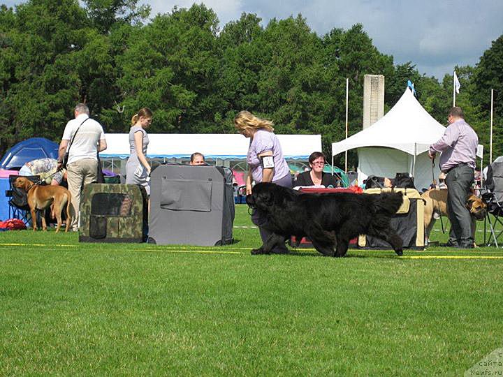 Фотография № 131466