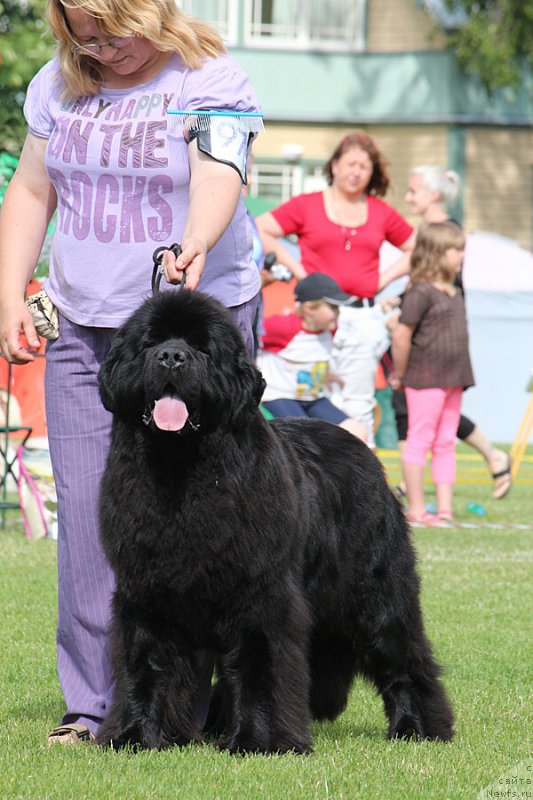 Фотография № 131470