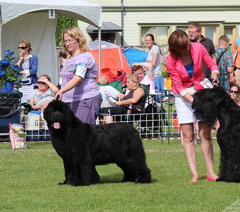 Фотография № 131471