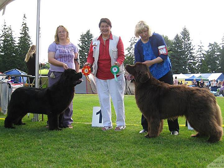 Фотография № 131473