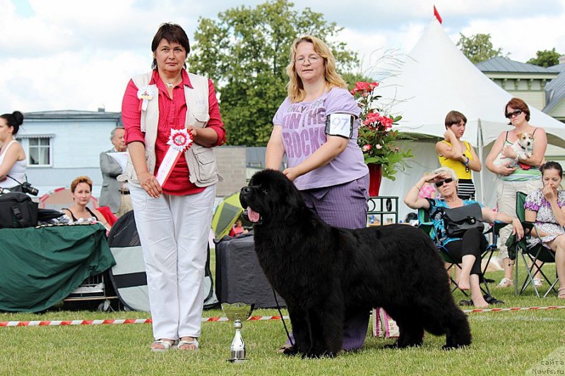 Фотография № 131474