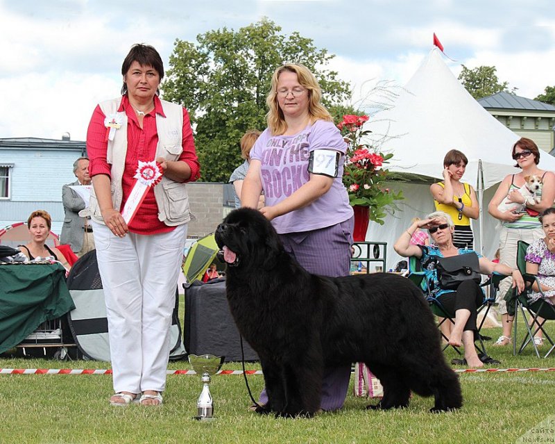 Фотография № 131475