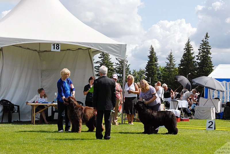 Фотография № 131479