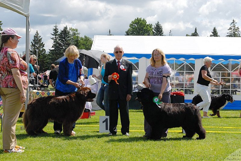 Фотография № 131480