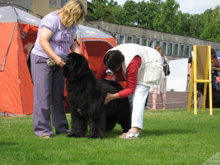 Фотография № 131481