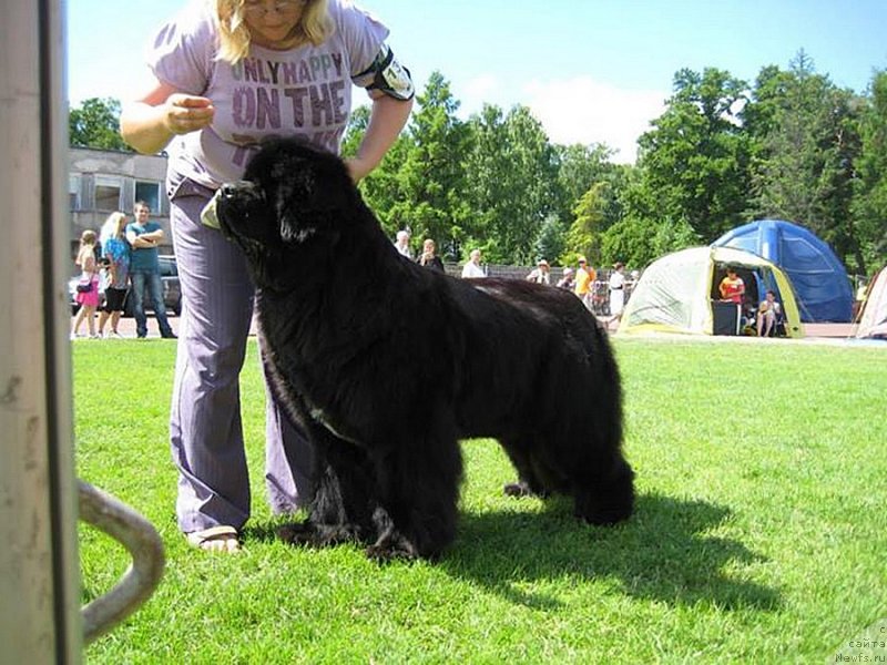 Фотография № 131484