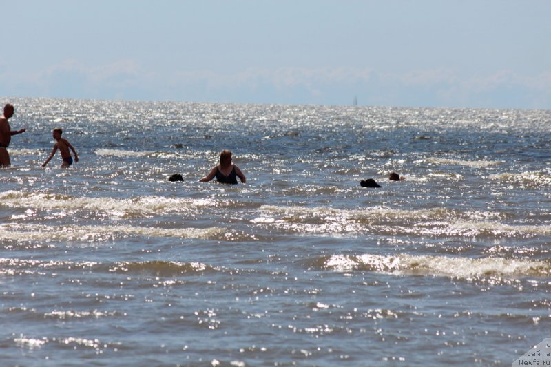 Фотография № 131485