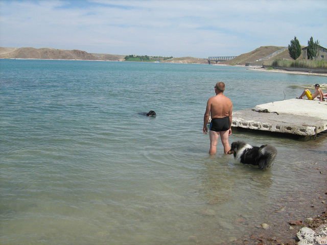 Фотография № 131489