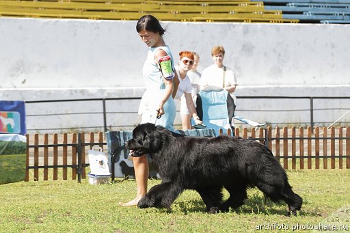 Фотография № 131492