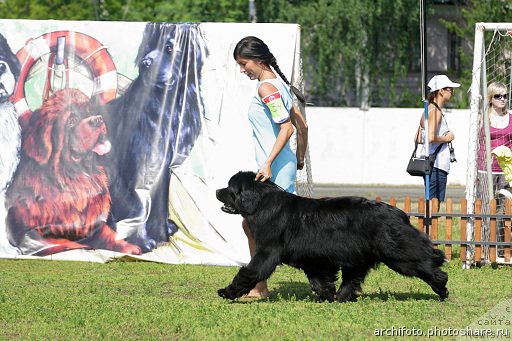 Фотография № 131493