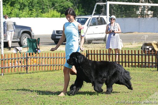 Фотография № 131497