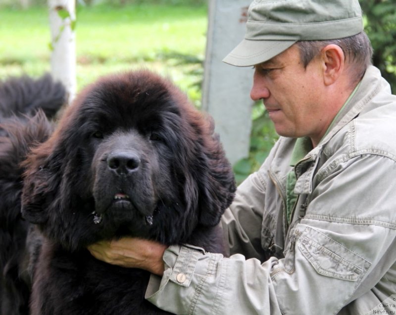 Фотография № 131513