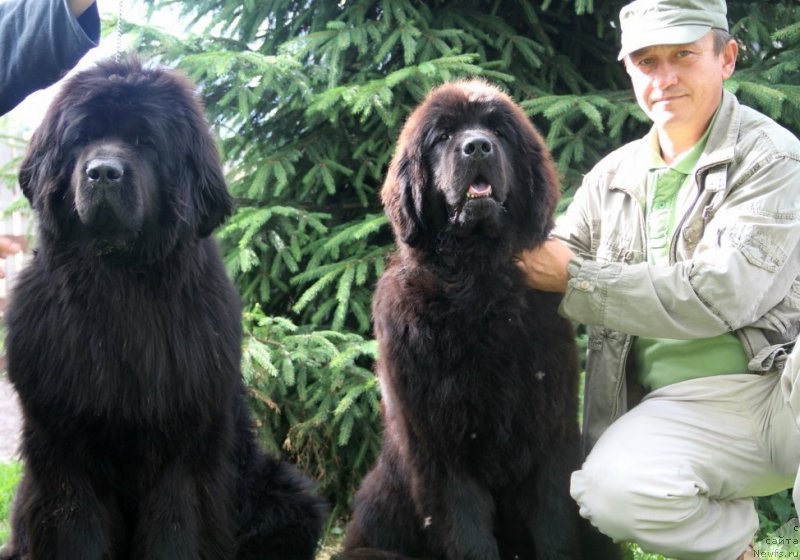 Фотография № 131515