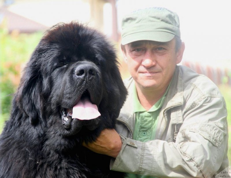 Фотография № 131521