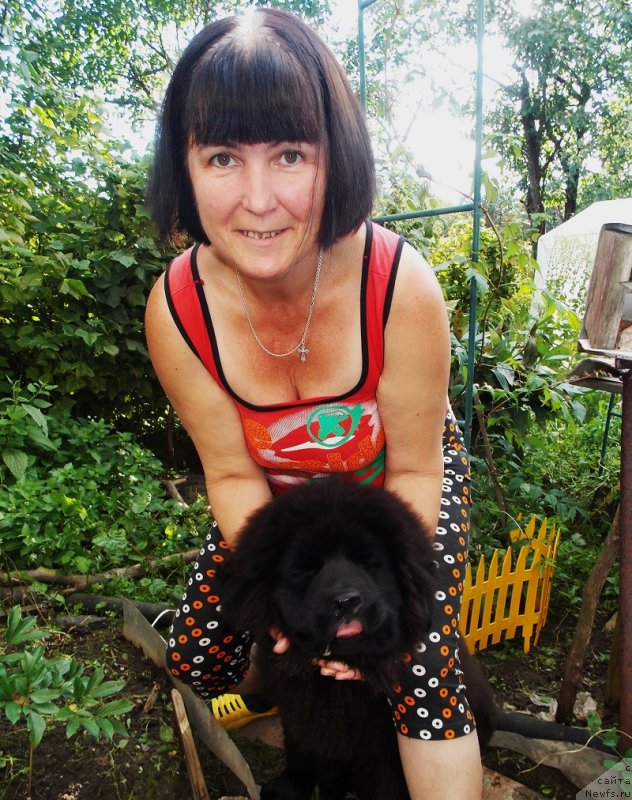 Фото: ньюфаундленд Lepestok Lilii (Лепесток Лилии)