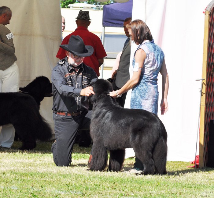 Фотография № 131548