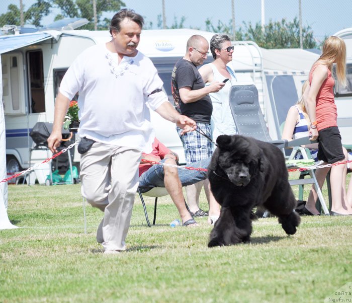 Фотография № 131552