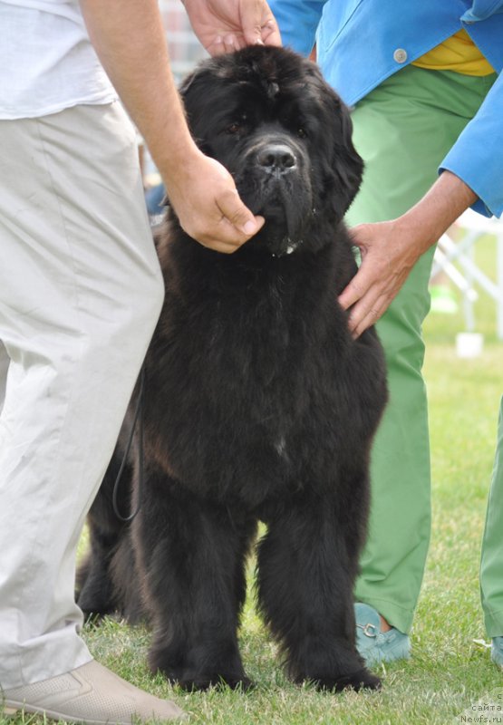 Фотография № 131585