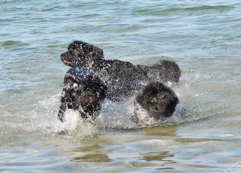 Фотография № 131586