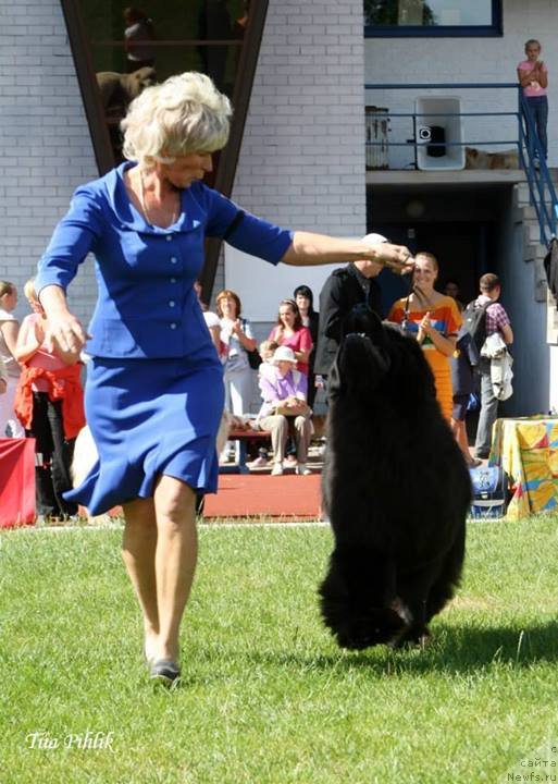 Фотография № 131600