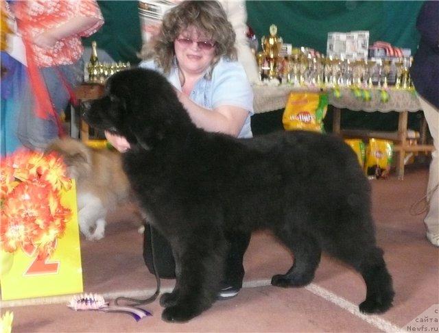 Фотография № 13162