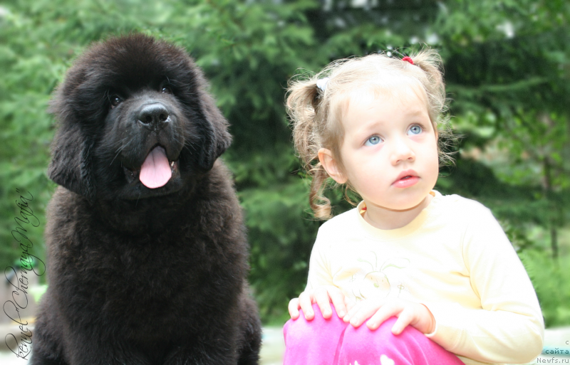 Фотография № 131633