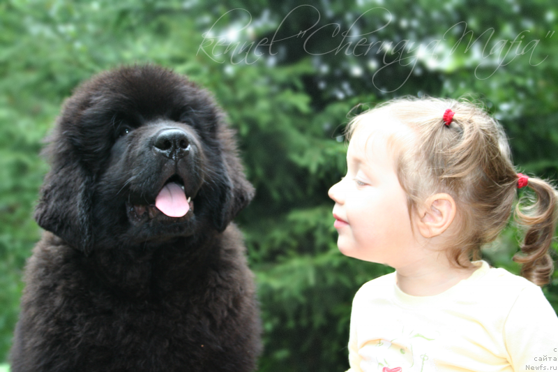 Фотография № 131638