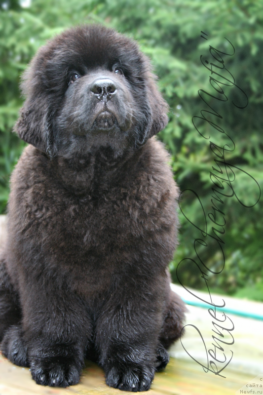 Фотография № 131648