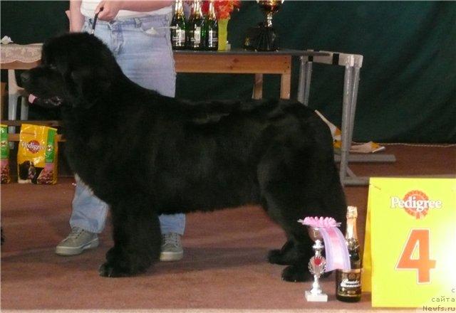 Фотография № 13165