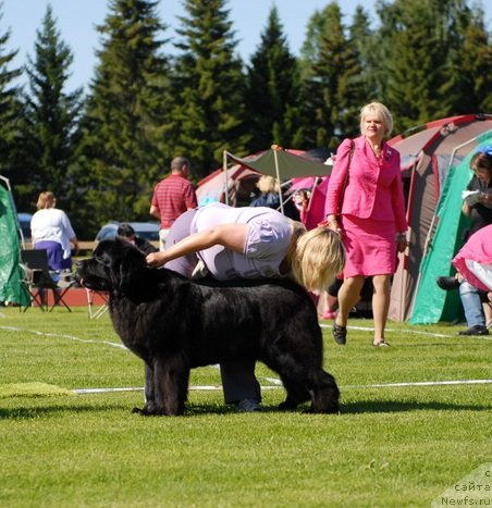 Фотография № 131675