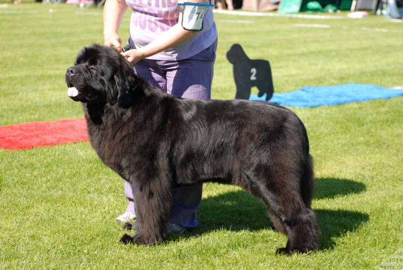 Фотография № 131677